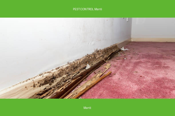 PEST CONTROL Manti